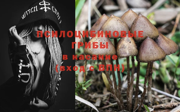 альфа пвп Няндома