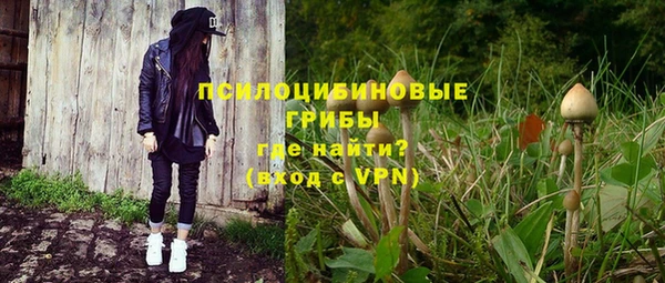 альфа пвп Няндома