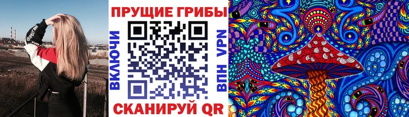 купить наркотик  Разумное  гидра сайт  Галлюциногенные грибы Psilocybe 