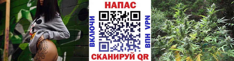 Бошки марихуана OG Kush  купить наркотики сайты  Разумное 